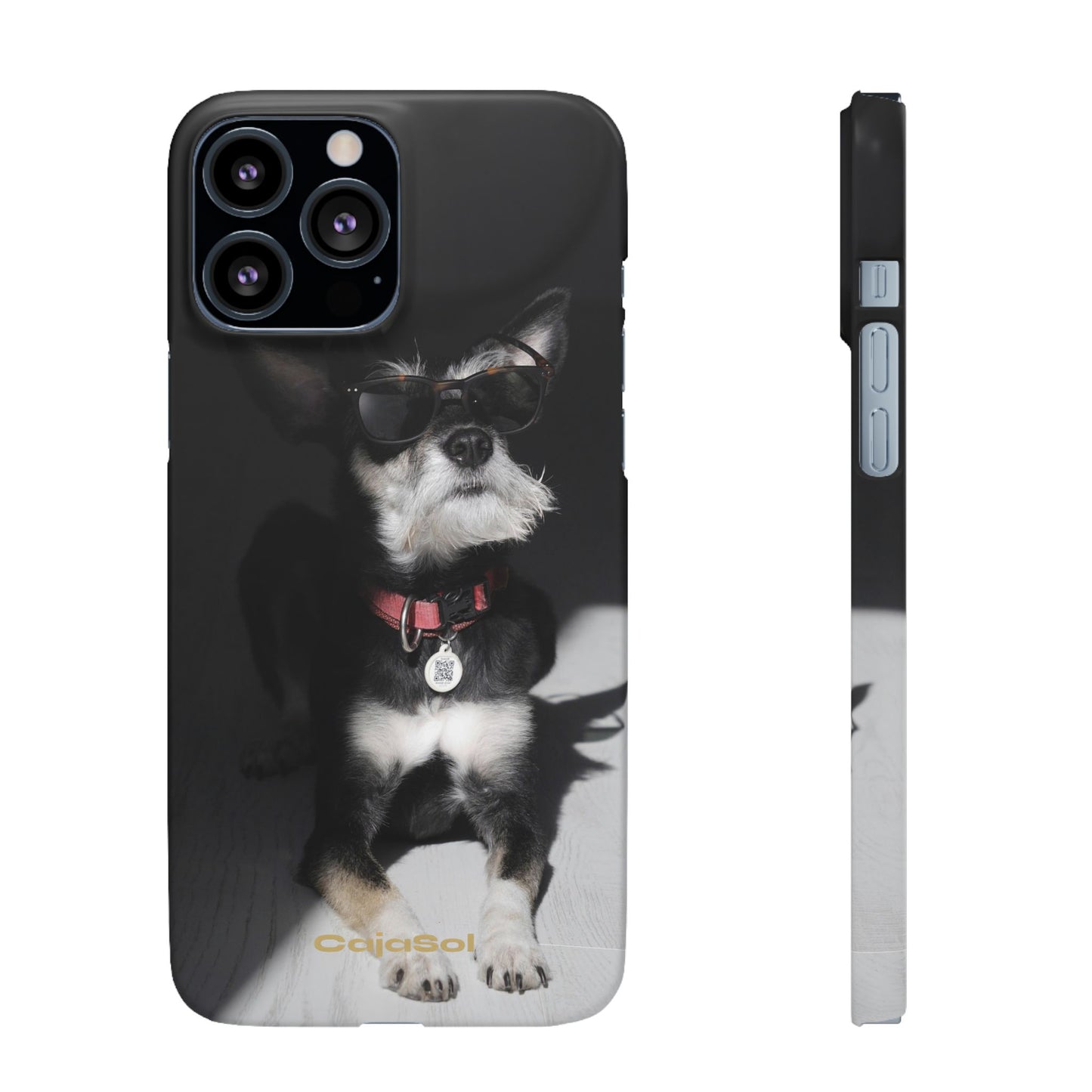 Cool Dog Cajasol - Stylish Pet