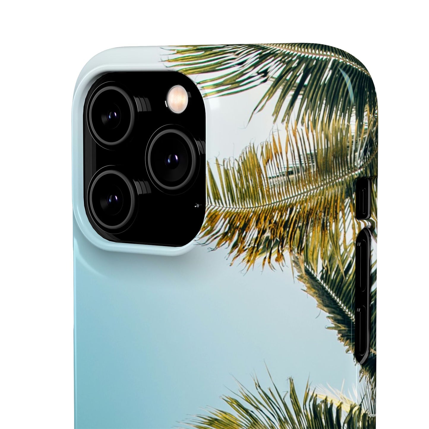 Tropical Palm Cajasol – Summer Vibes for Beach Lovers