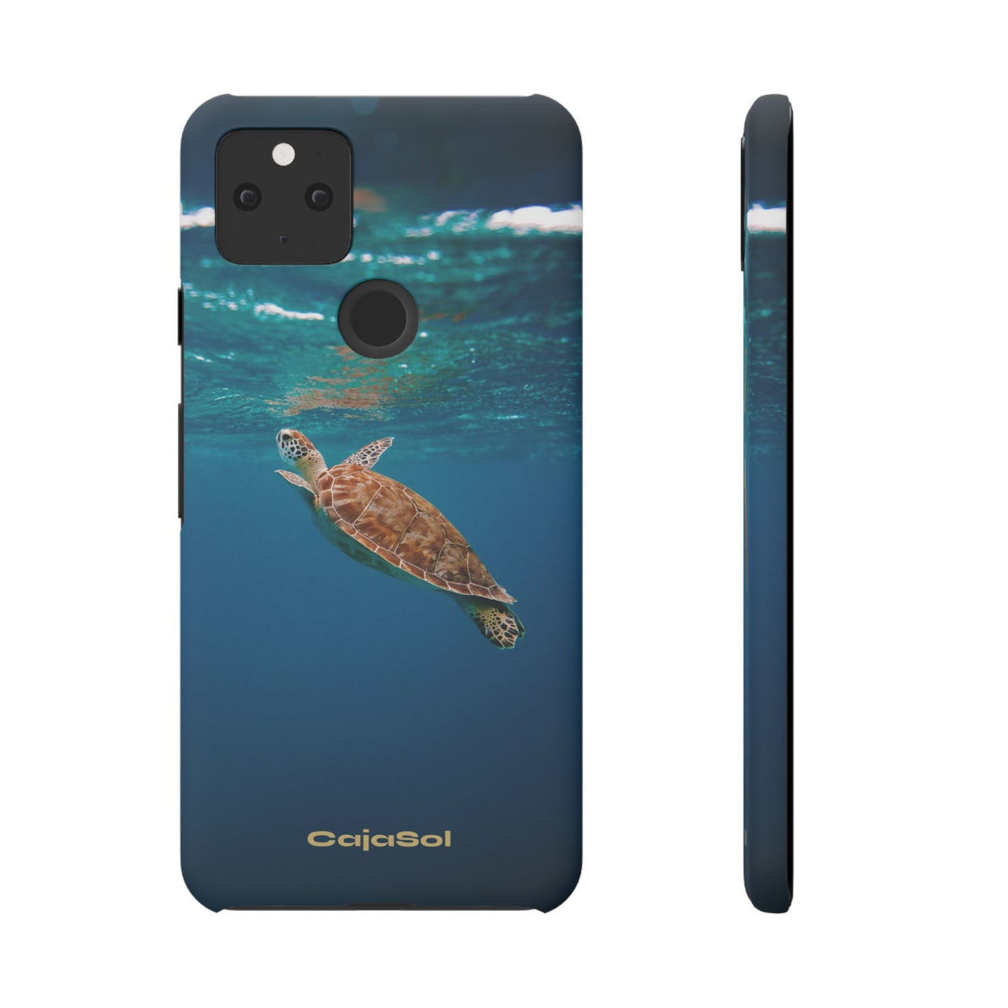 Sea Turtle Cajasol - Perfect for Beach Lovers
