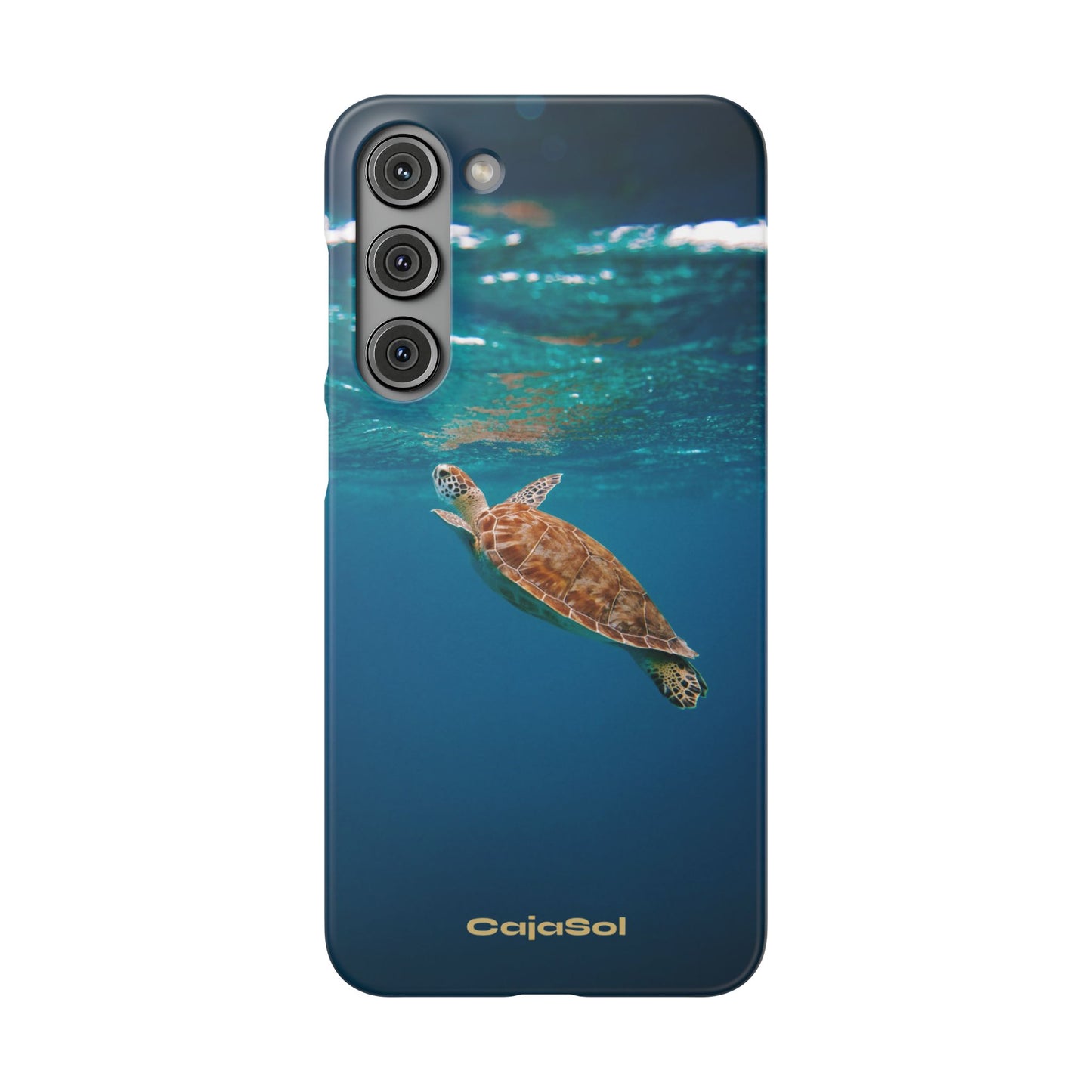 Sea Turtle Cajasol - Perfect for Beach Lovers
