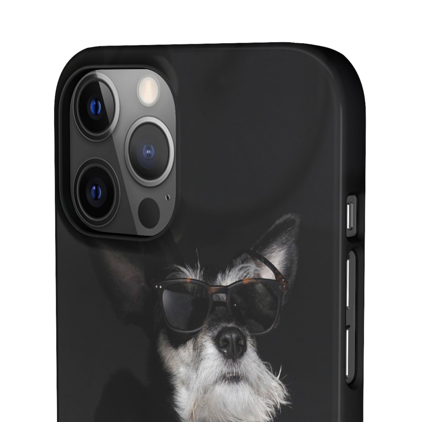 Cool Dog Cajasol - Stylish Pet