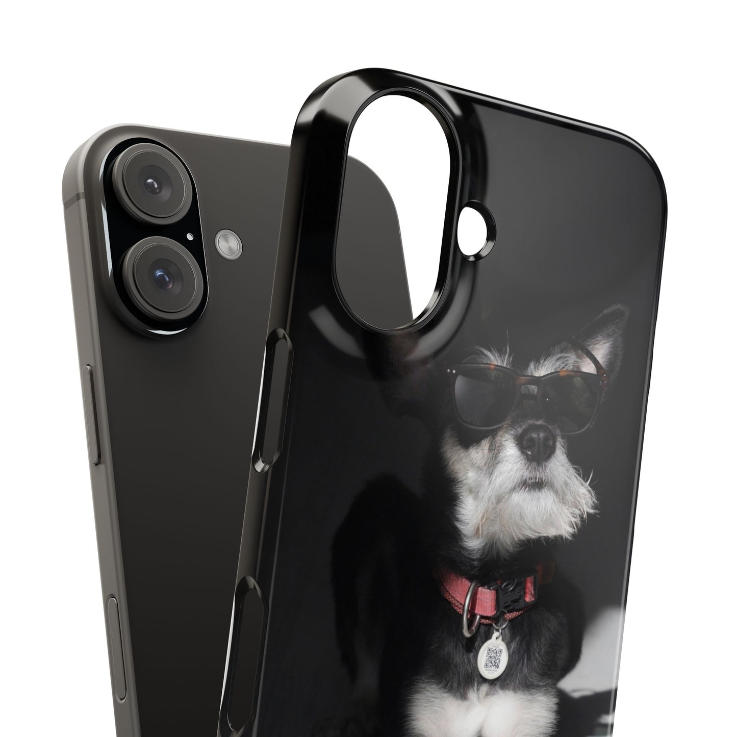 Cool Dog Cajasol - Stylish Pet