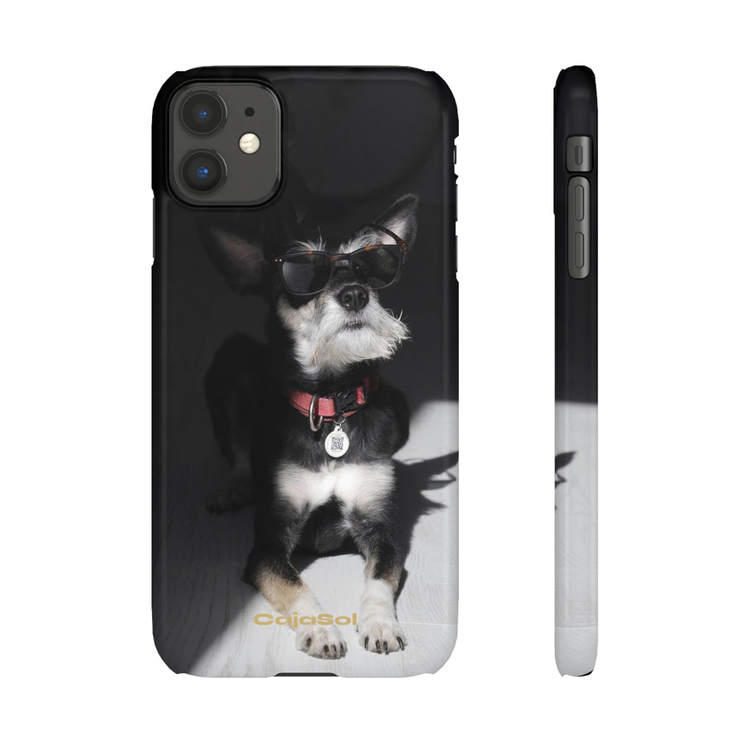 Cool Dog Cajasol - Stylish Pet
