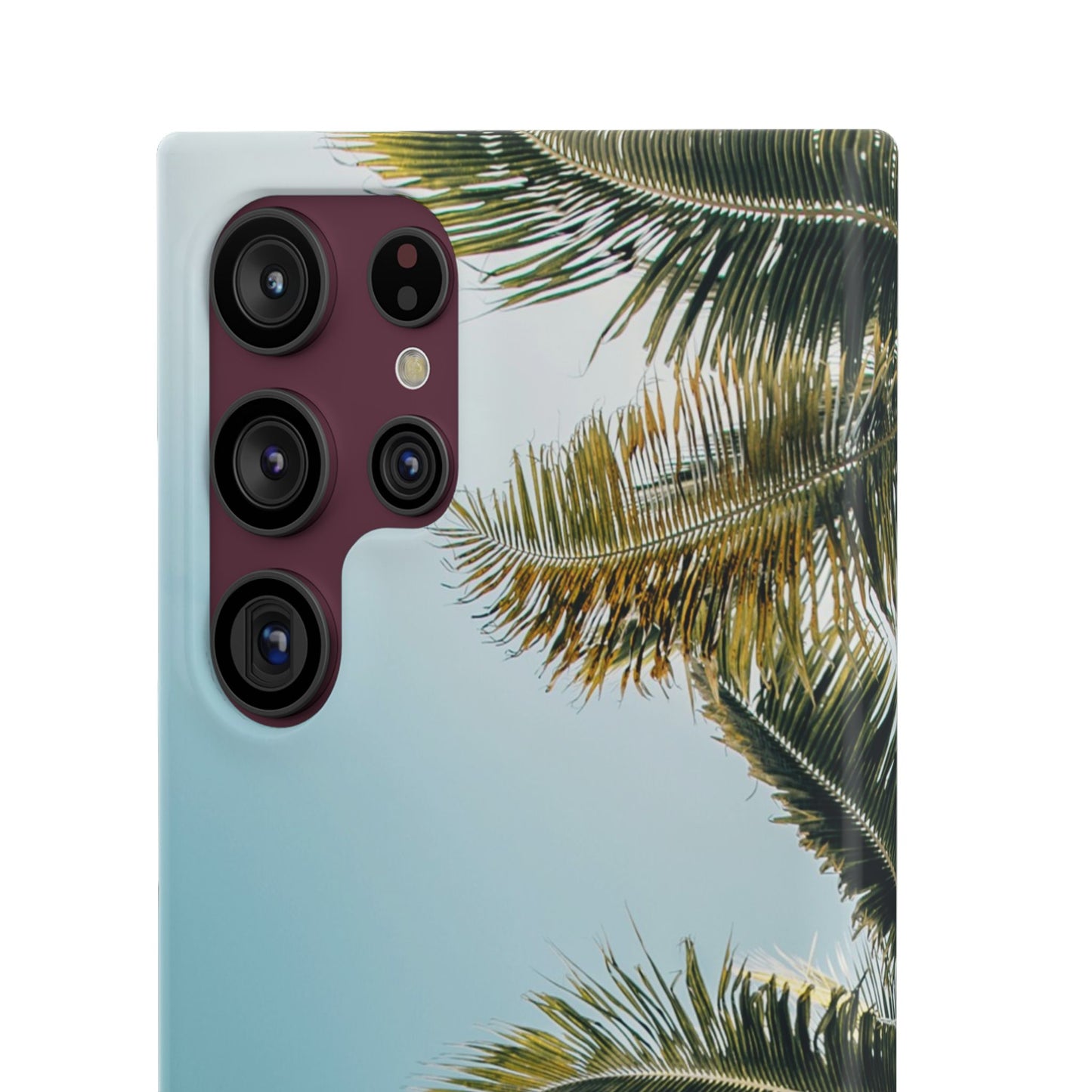 Tropical Palm Cajasol – Summer Vibes for Beach Lovers