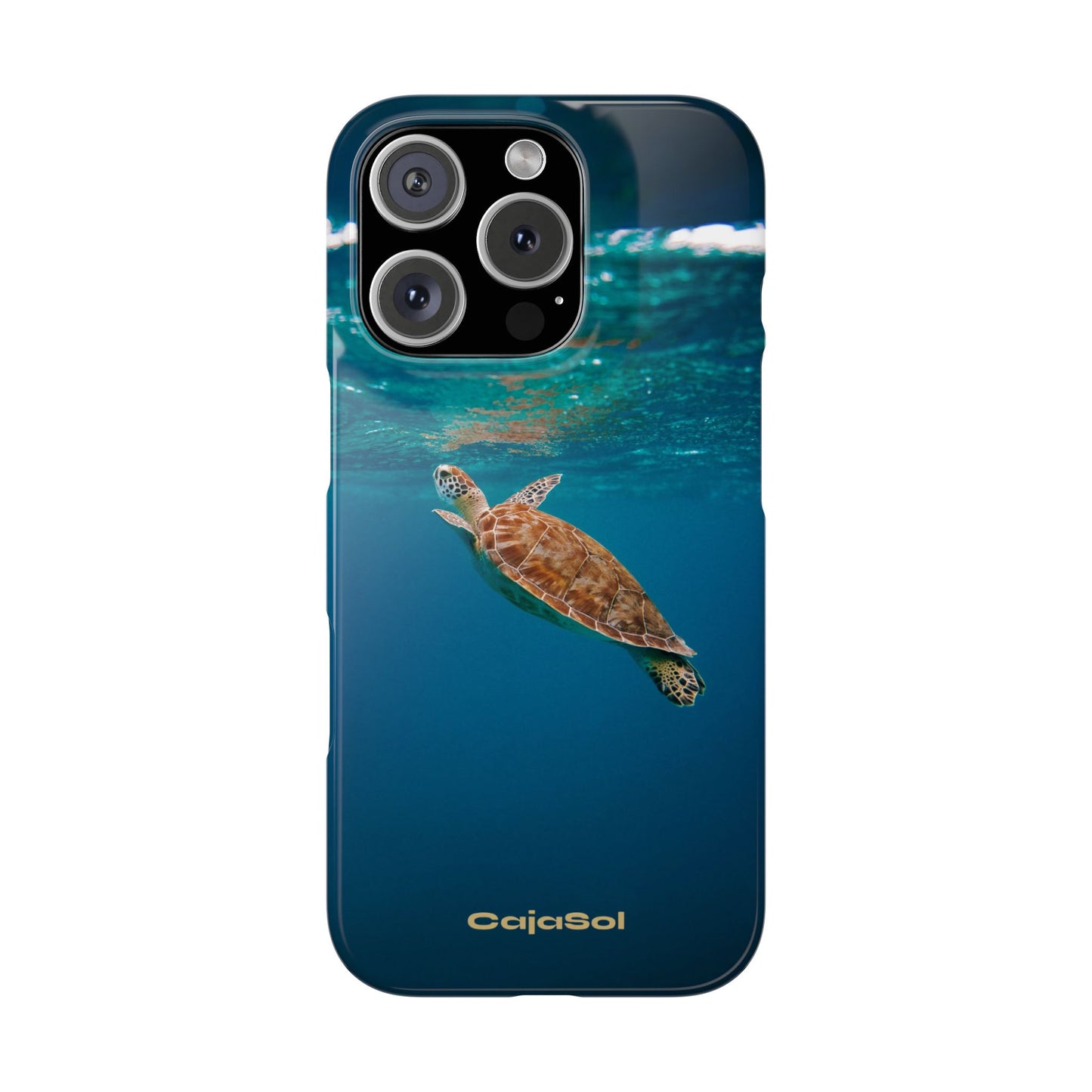 Sea Turtle Cajasol - Perfect for Beach Lovers