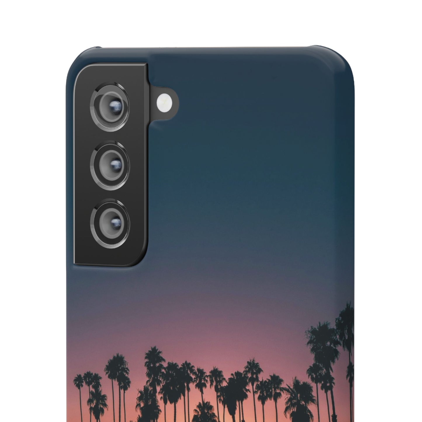 Tropical Sunset Cajasol - Vibrant Palm Tree