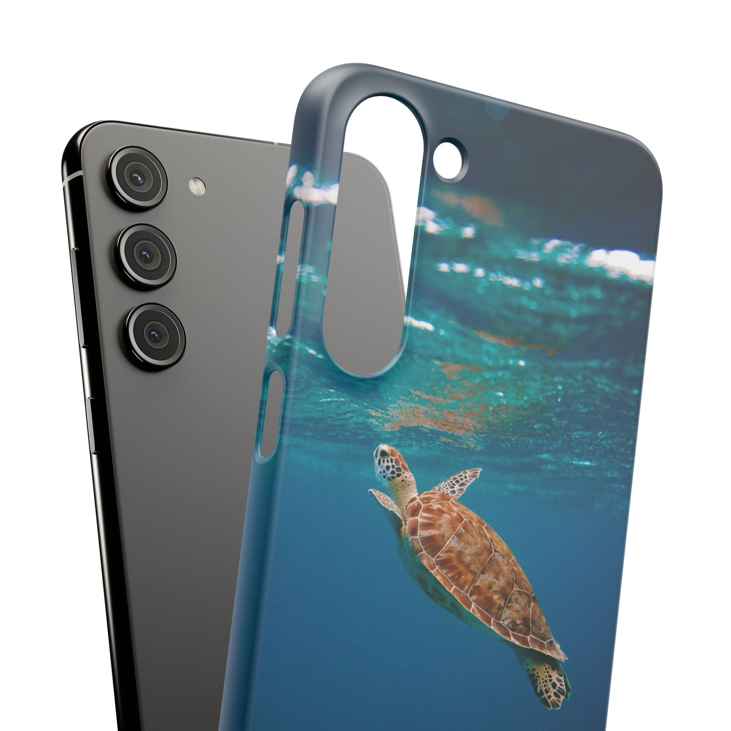 Sea Turtle Cajasol - Perfect for Beach Lovers