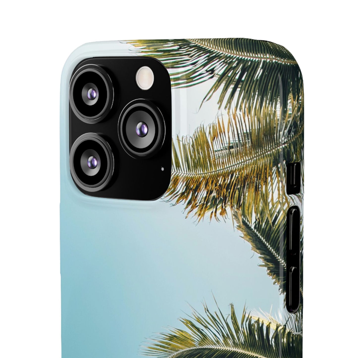 Tropical Palm Cajasol – Summer Vibes for Beach Lovers