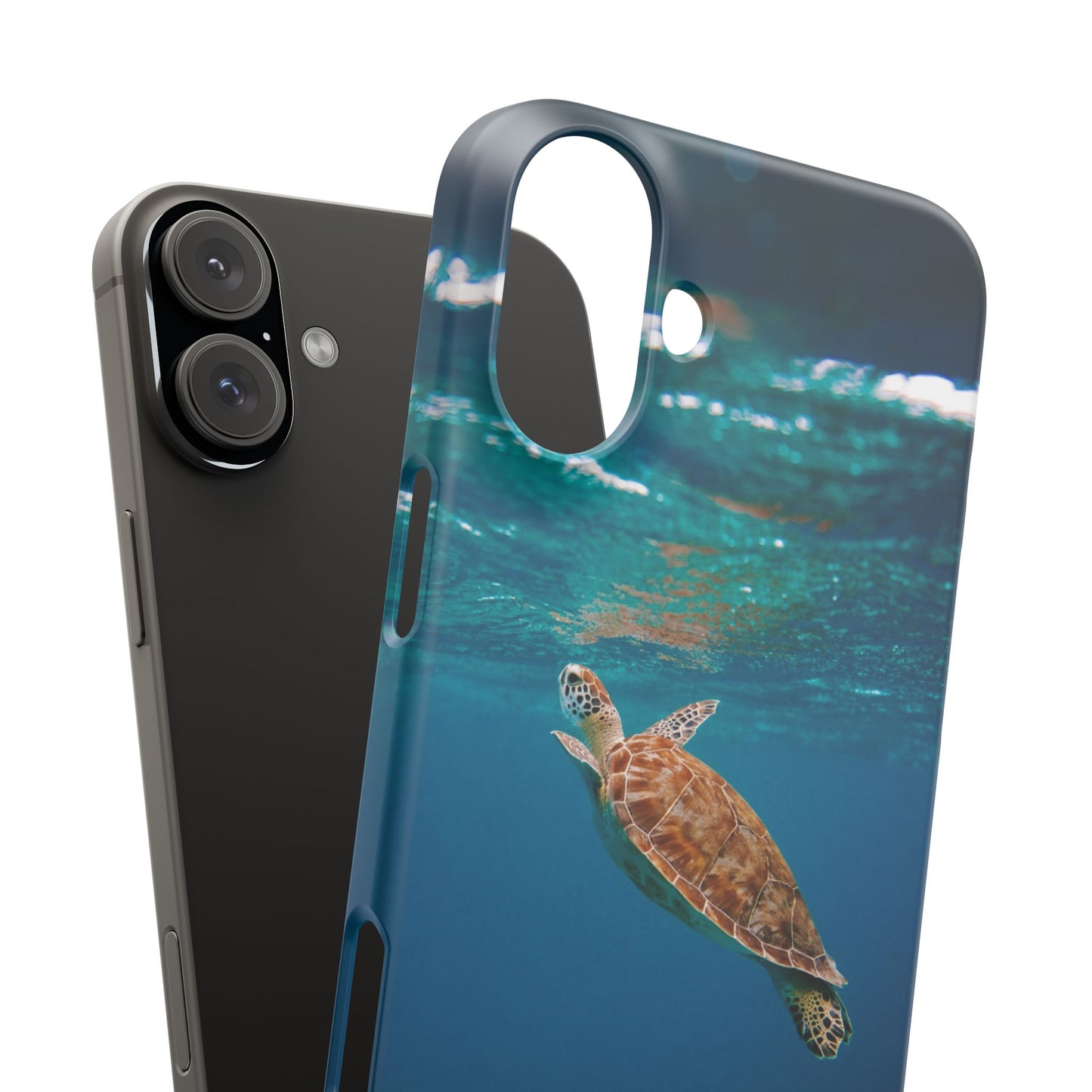 Sea Turtle Cajasol - Perfect for Beach Lovers