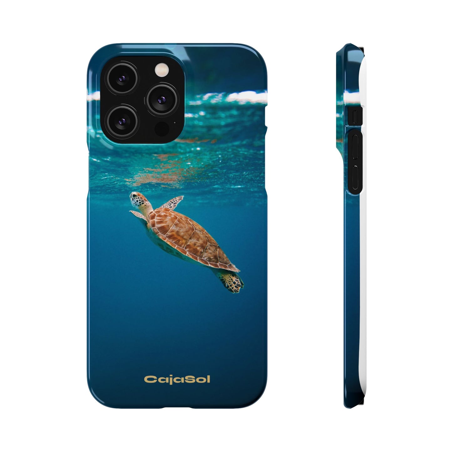 Sea Turtle Cajasol - Perfect for Beach Lovers