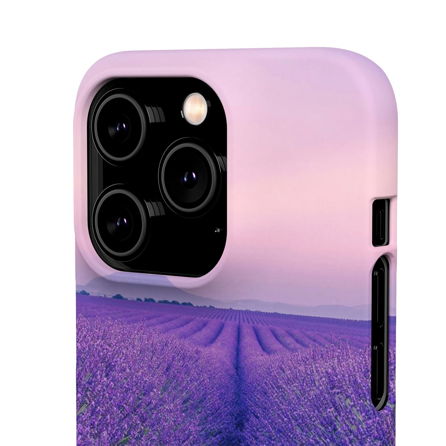 Lavender Fields Cajasol - A Floral Touch for Nature Lovers