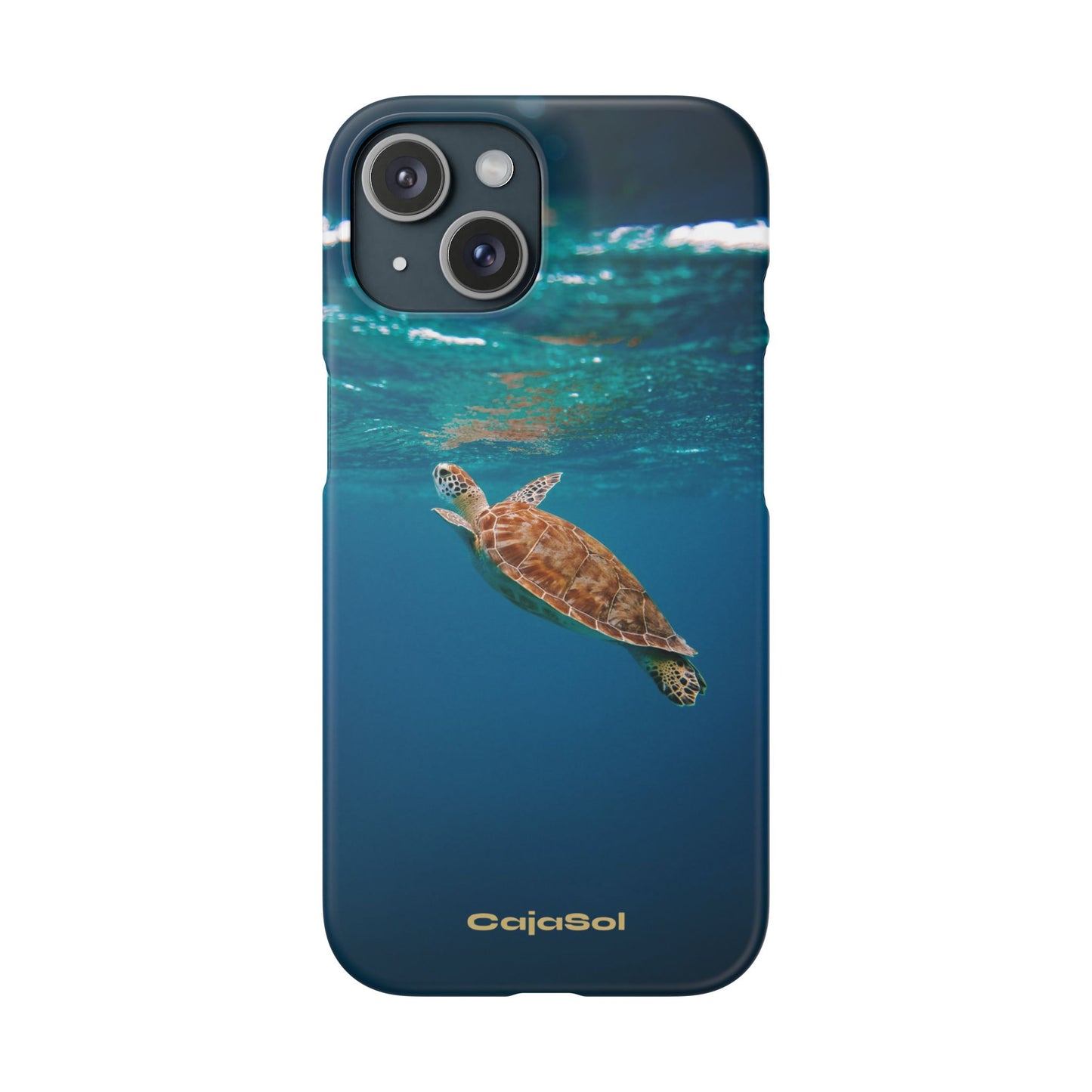 Sea Turtle Cajasol - Perfect for Beach Lovers