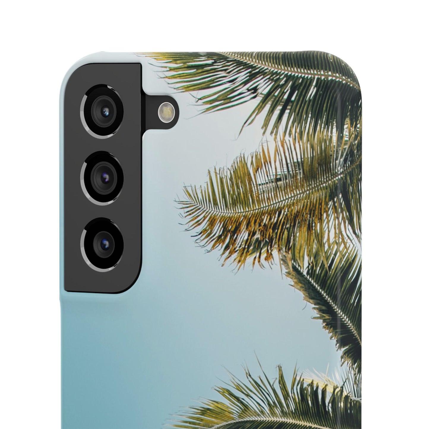 Tropical Palm Cajasol – Summer Vibes for Beach Lovers