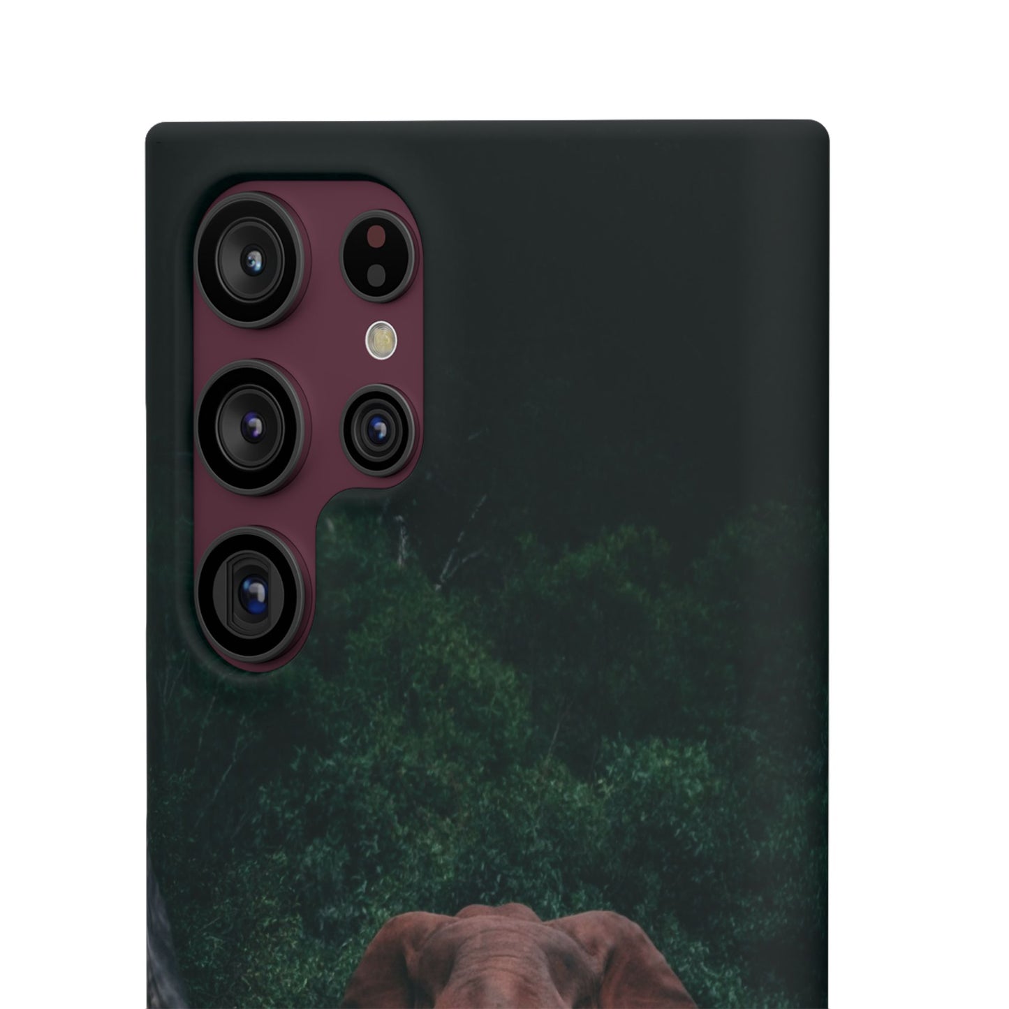 Wildlife Lover's Cajasol - Majestic Elephant