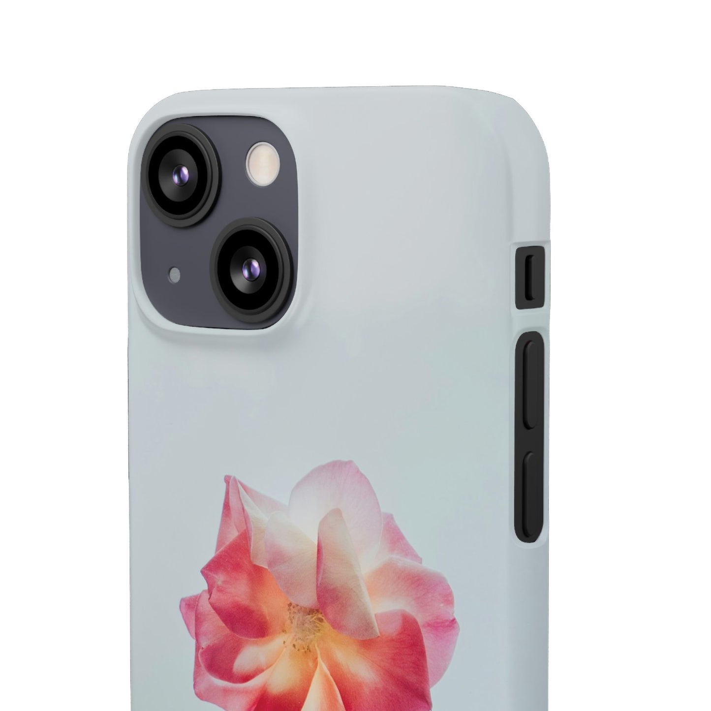 Floral Cajasol - Elegant Pink Flower