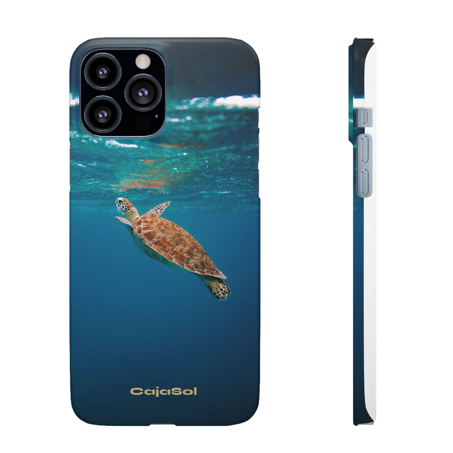 Sea Turtle Cajasol - Perfect for Beach Lovers