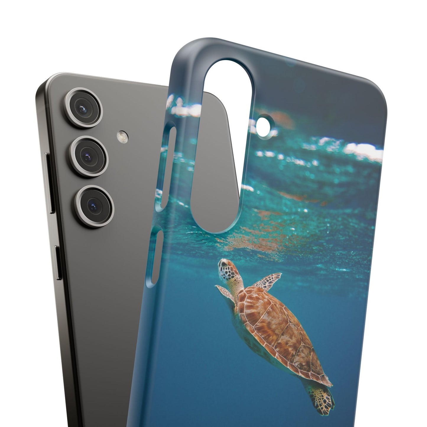 Sea Turtle Cajasol - Perfect for Beach Lovers