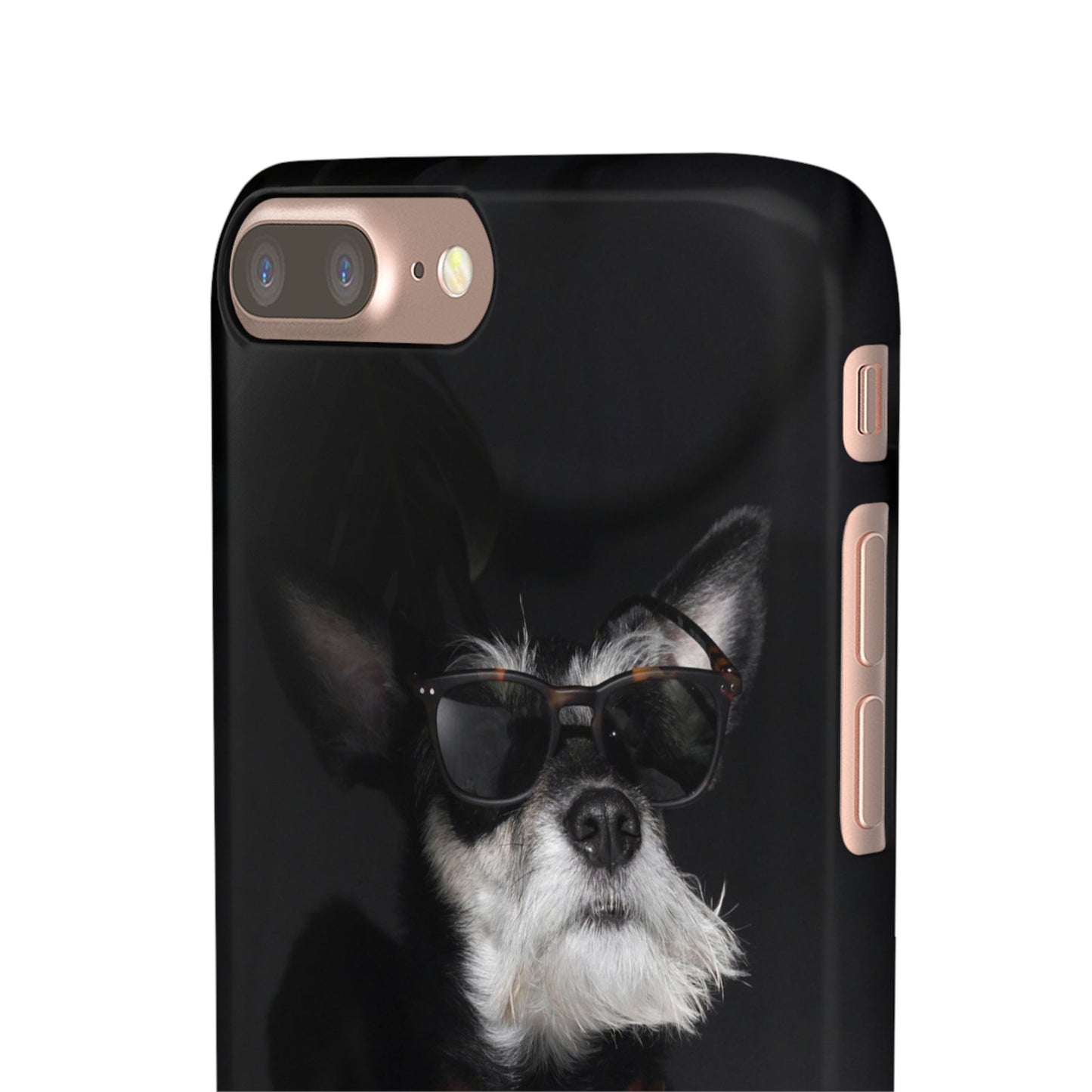 Cool Dog Cajasol - Stylish Pet