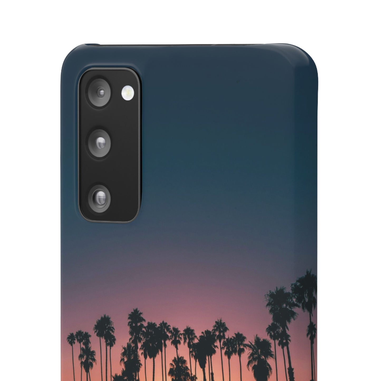 Tropical Sunset Cajasol - Vibrant Palm Tree