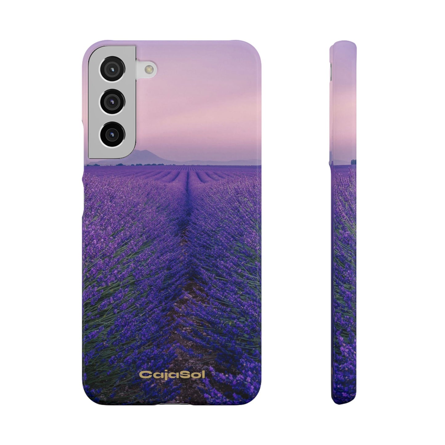 Lavender Fields Cajasol - A Floral Touch for Nature Lovers
