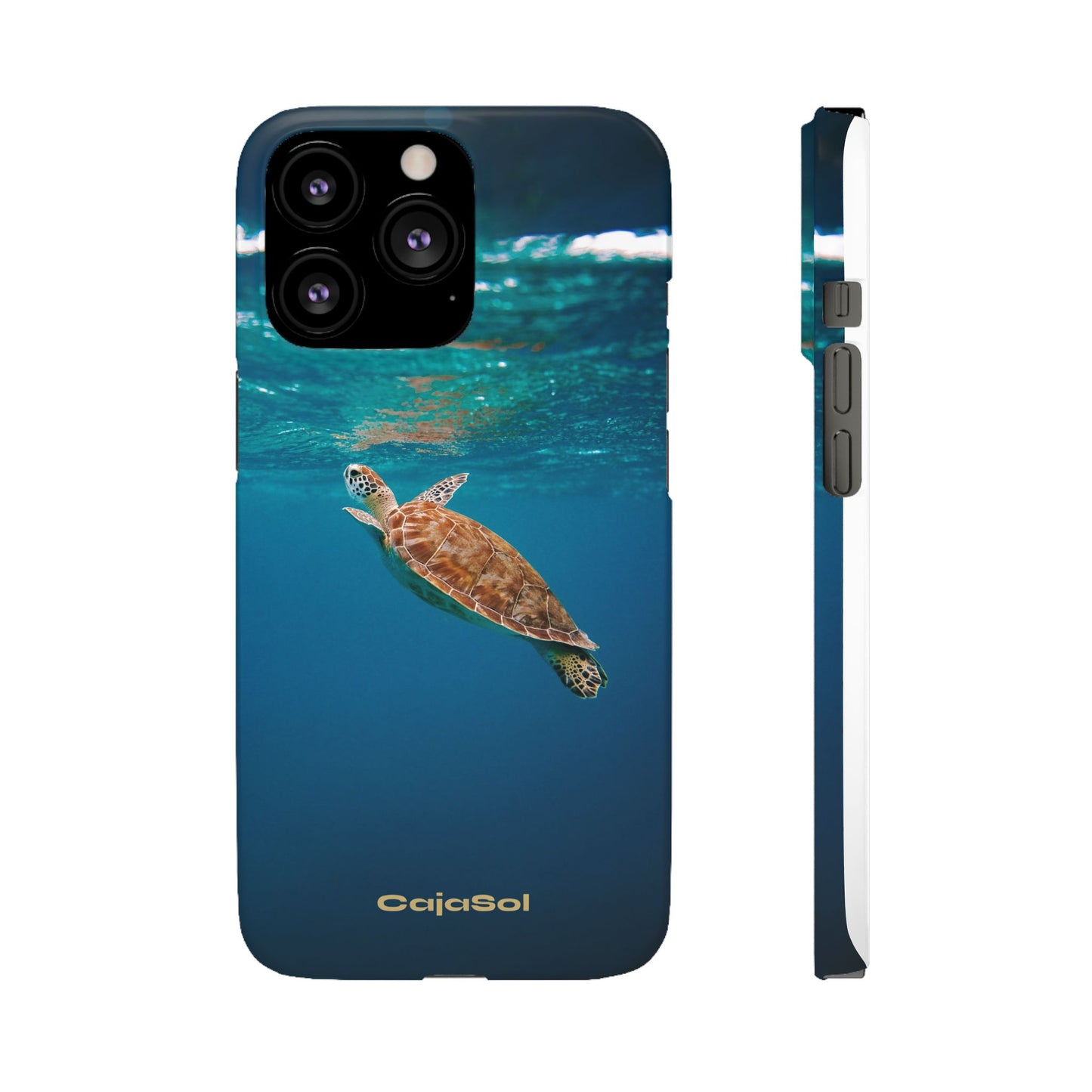Sea Turtle Cajasol - Perfect for Beach Lovers