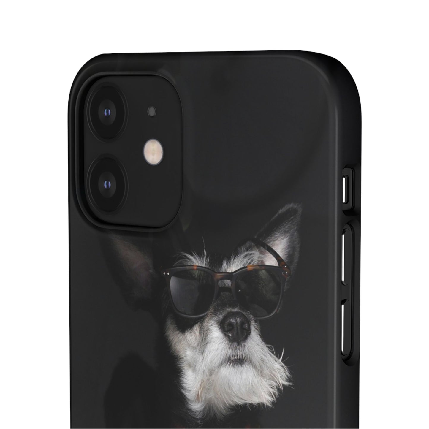 Cool Dog Cajasol - Stylish Pet