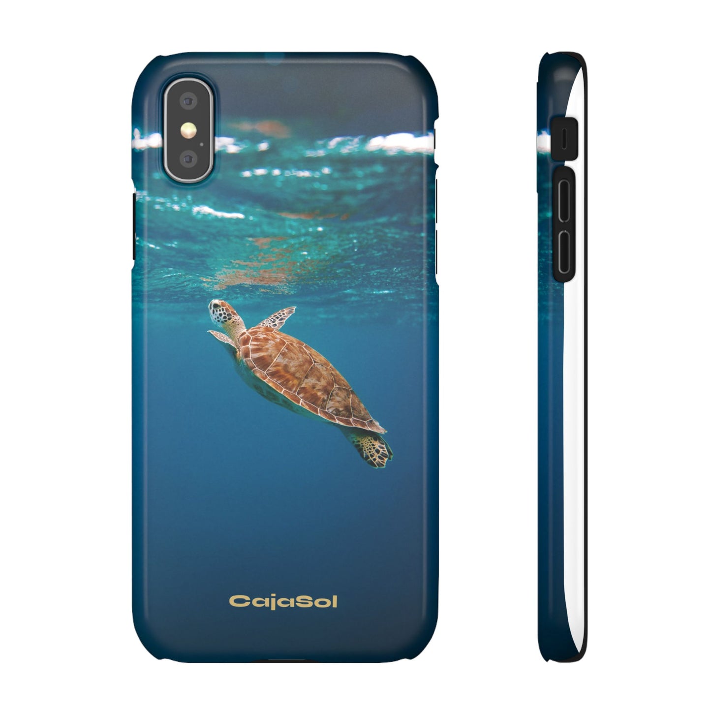 Sea Turtle Cajasol - Perfect for Beach Lovers