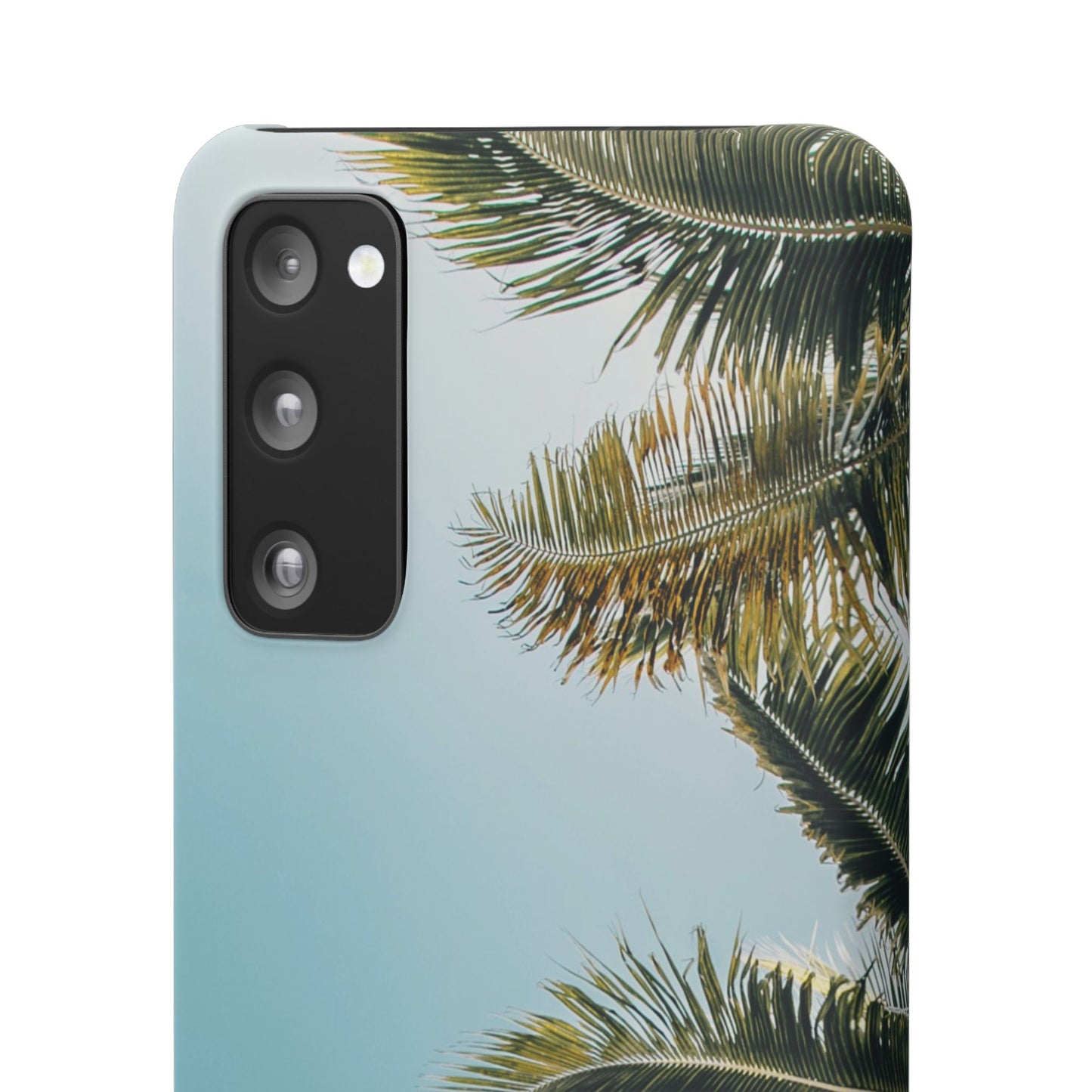 Tropical Palm Cajasol – Summer Vibes for Beach Lovers
