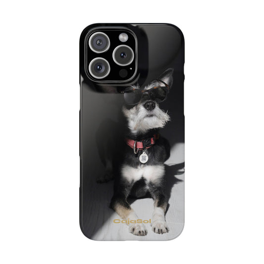Cool Dog Cajasol - Stylish Pet