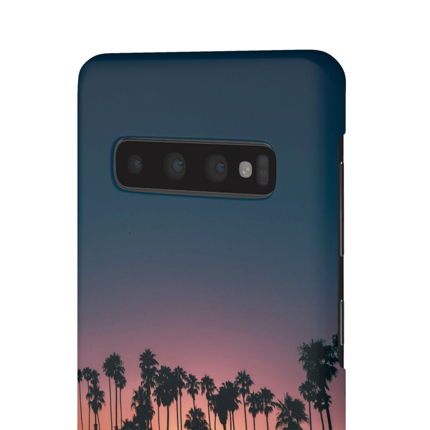 Tropical Sunset Cajasol - Vibrant Palm Tree