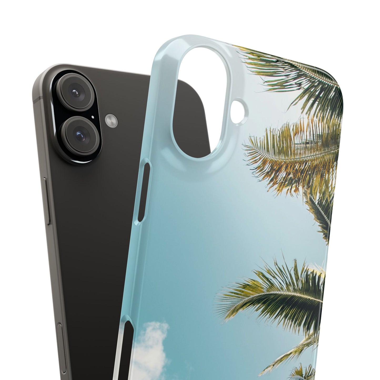 Tropical Palm Cajasol – Summer Vibes for Beach Lovers