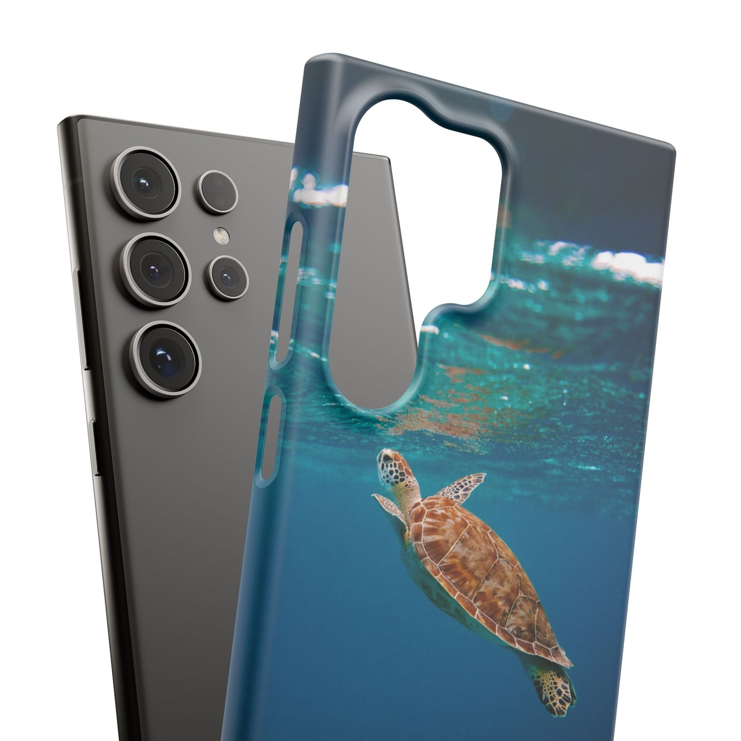 Sea Turtle Cajasol - Perfect for Beach Lovers
