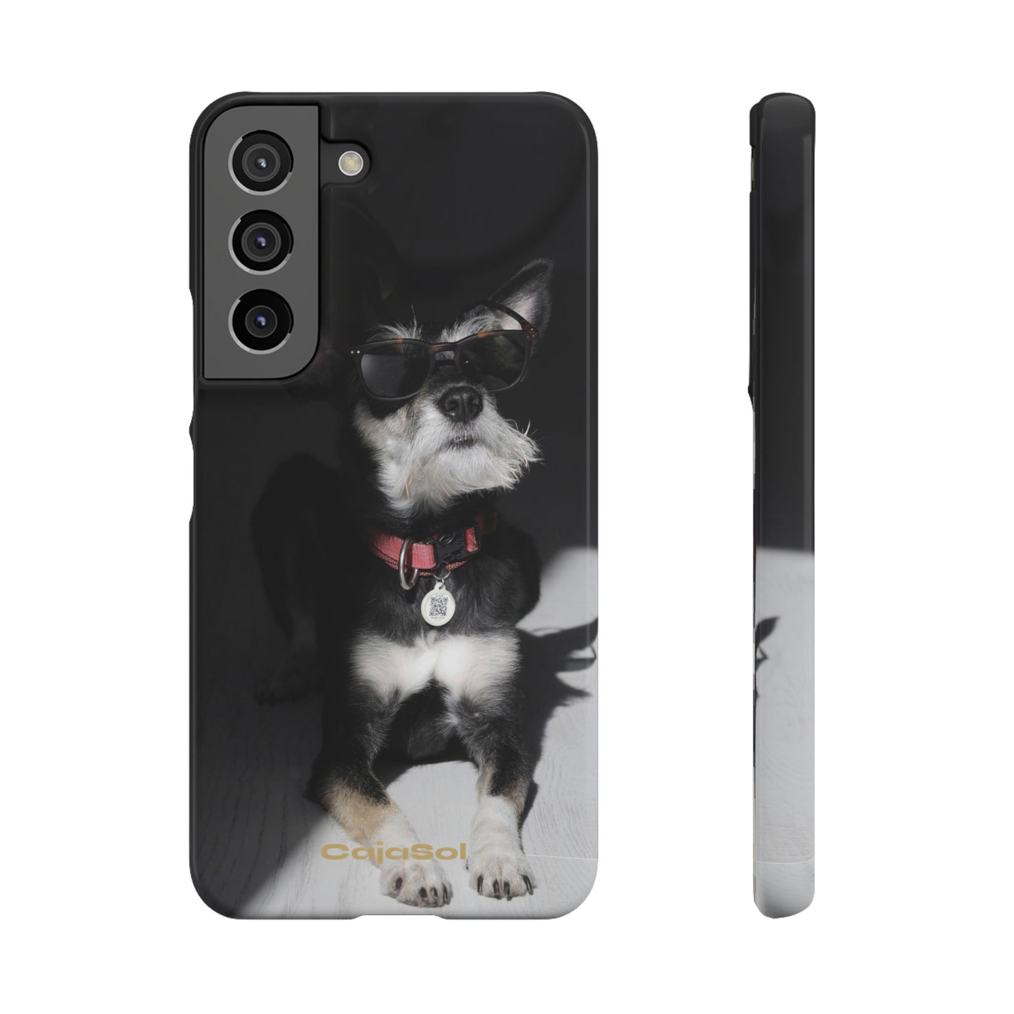 Cool Dog Cajasol - Stylish Pet