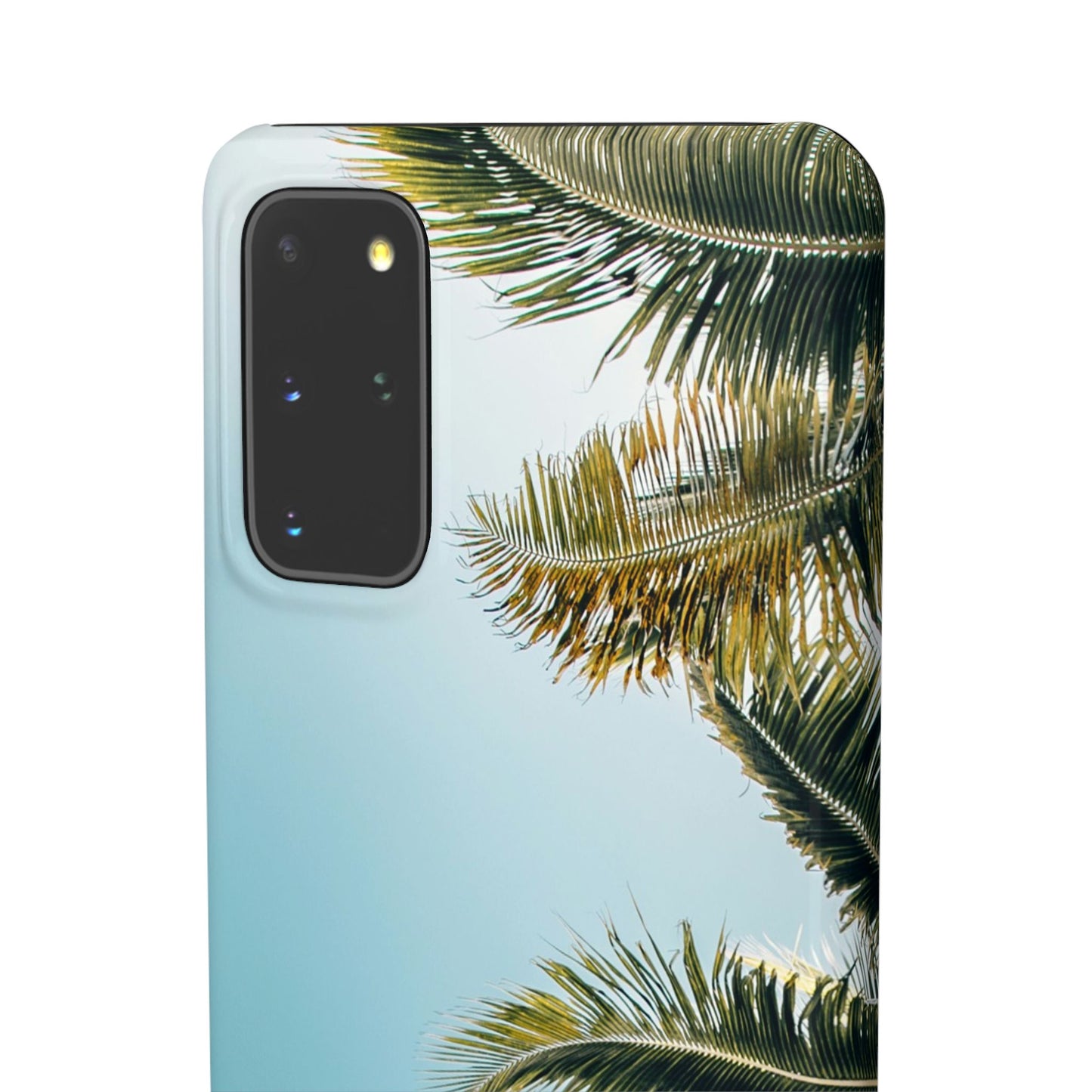 Tropical Palm Cajasol – Summer Vibes for Beach Lovers