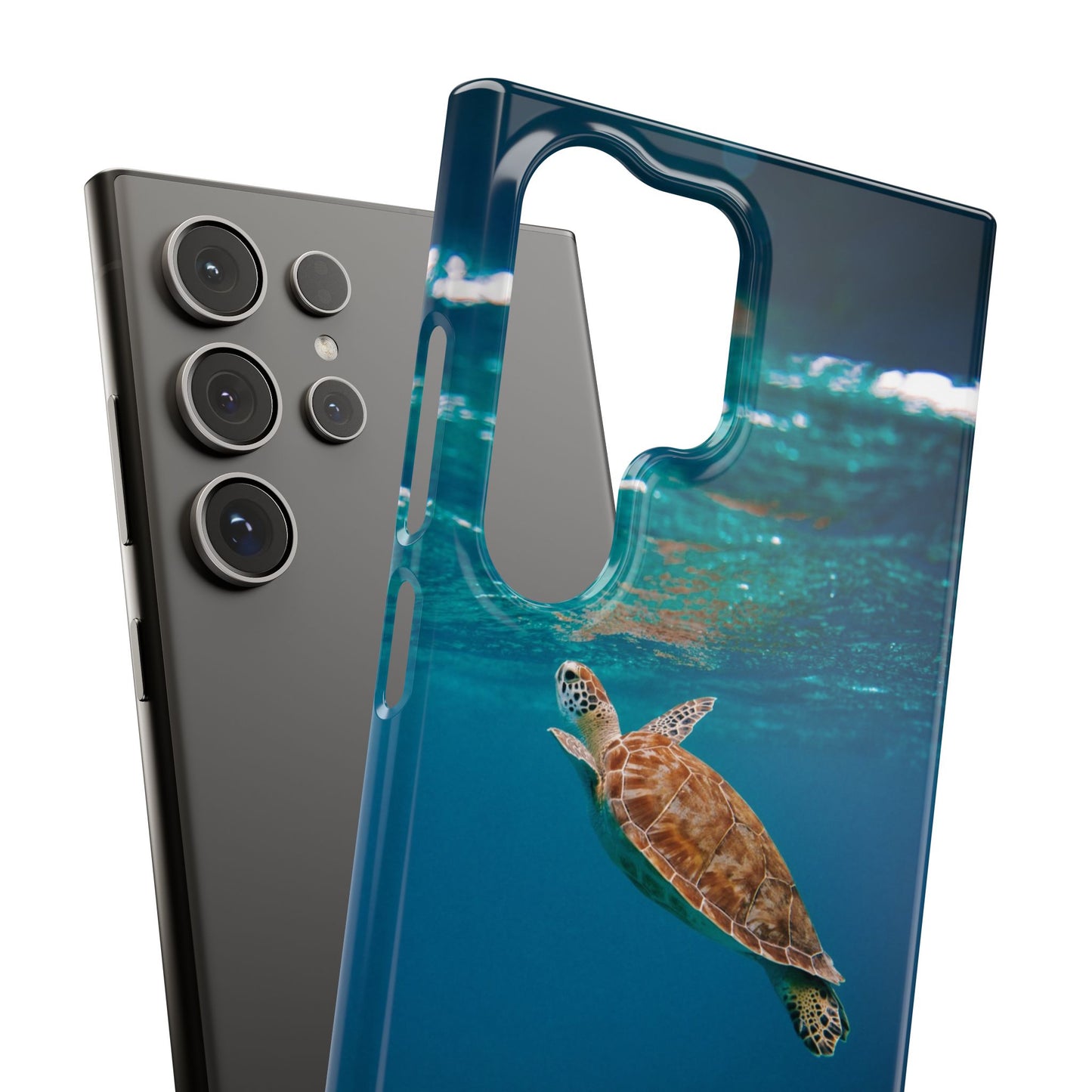 Sea Turtle Cajasol - Perfect for Beach Lovers