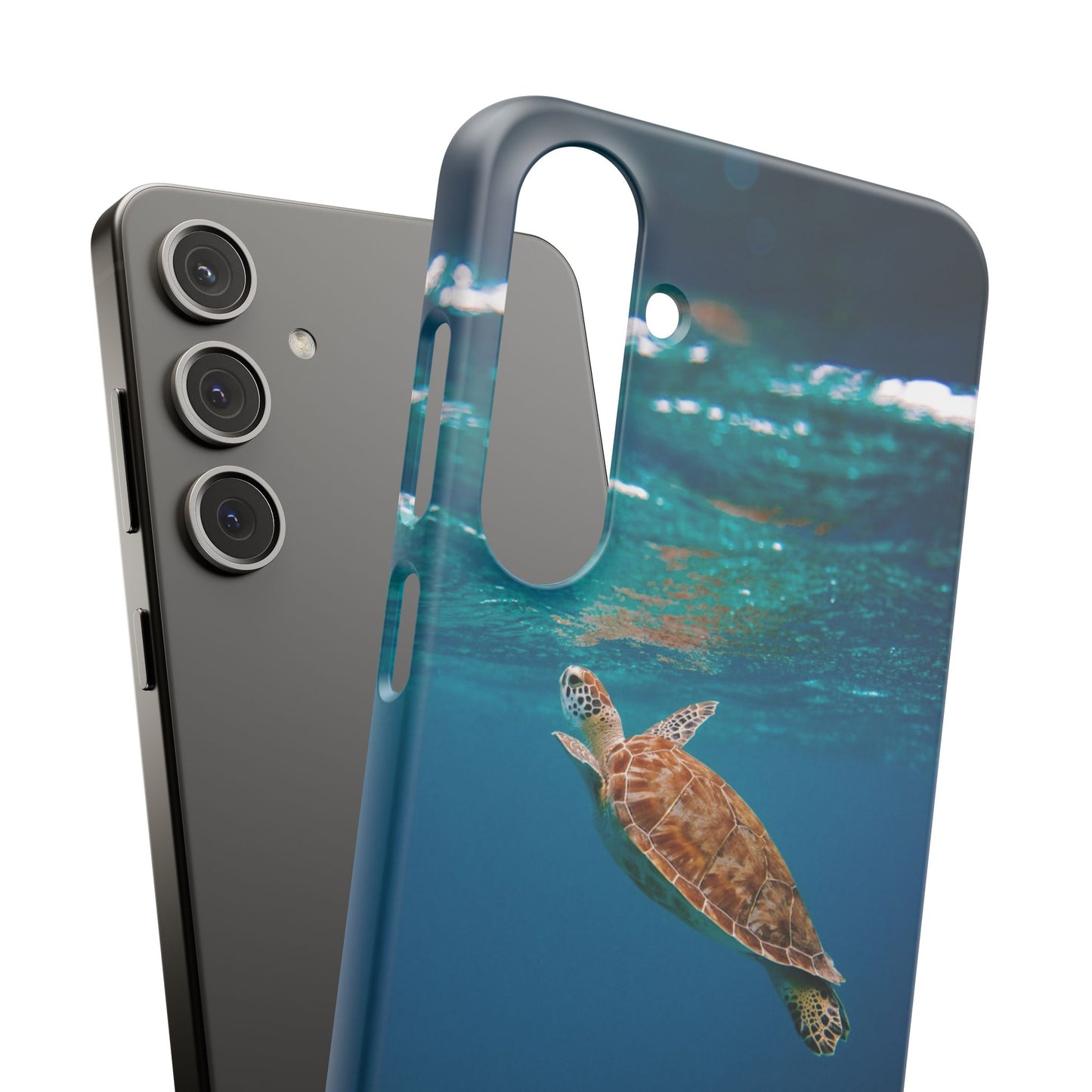 Sea Turtle Cajasol - Perfect for Beach Lovers