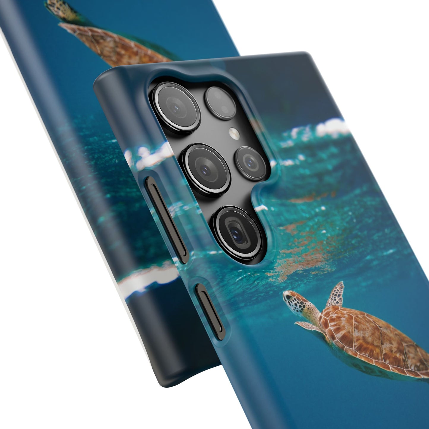 Sea Turtle Cajasol - Perfect for Beach Lovers