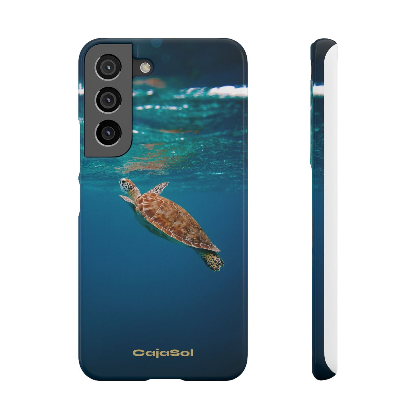 Sea Turtle Cajasol - Perfect for Beach Lovers