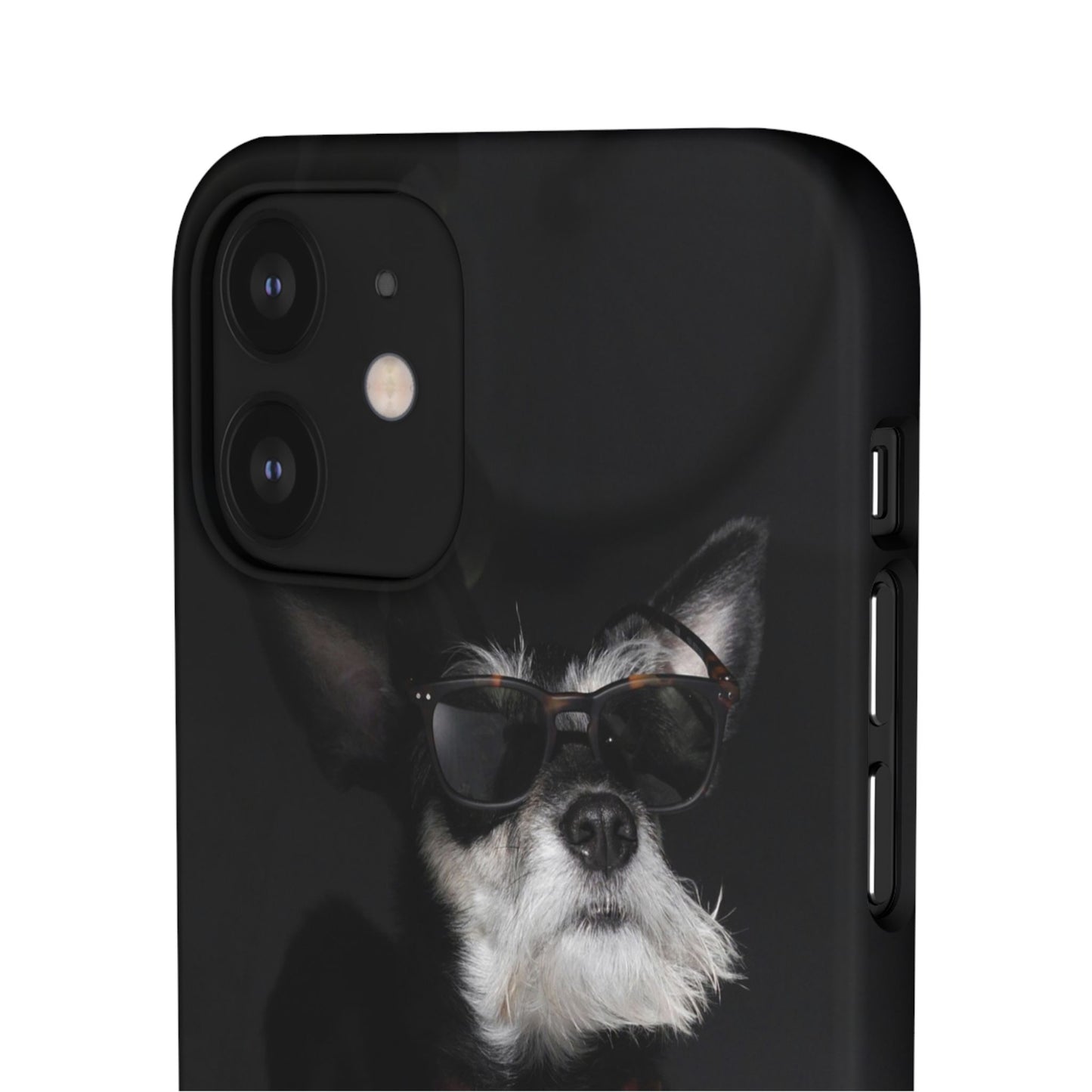 Cool Dog Cajasol - Stylish Pet