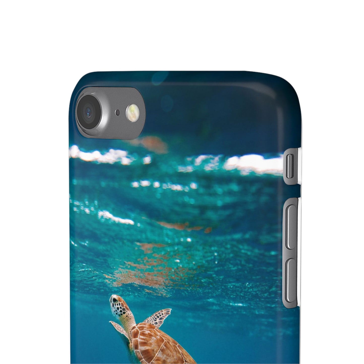 Sea Turtle Cajasol - Perfect for Beach Lovers