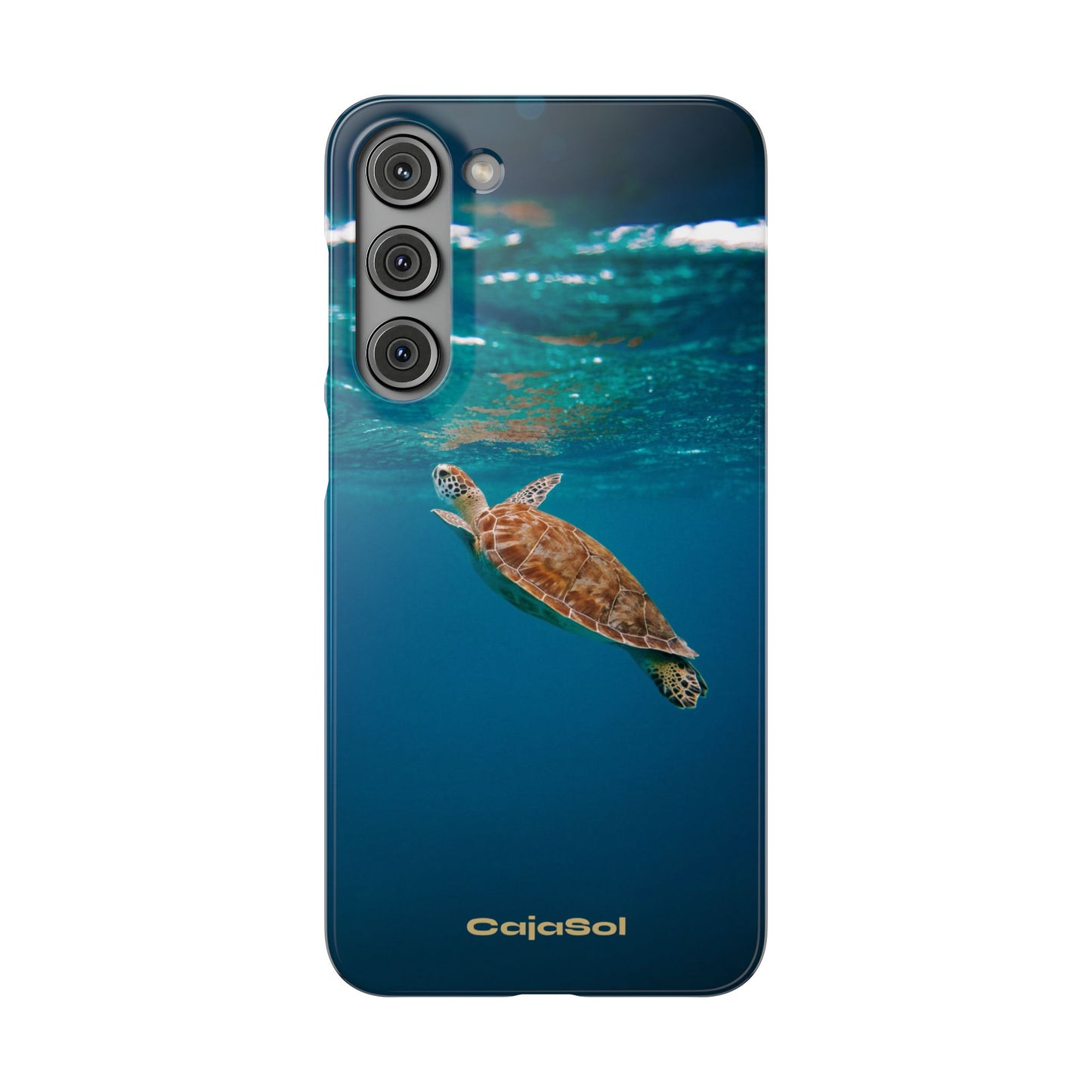 Sea Turtle Cajasol - Perfect for Beach Lovers