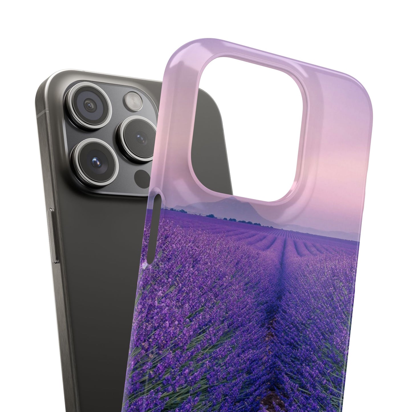 Lavender Fields Cajasol - A Floral Touch for Nature Lovers