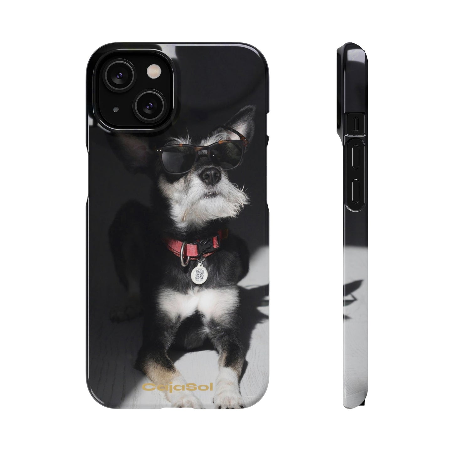 Cool Dog Cajasol - Stylish Pet