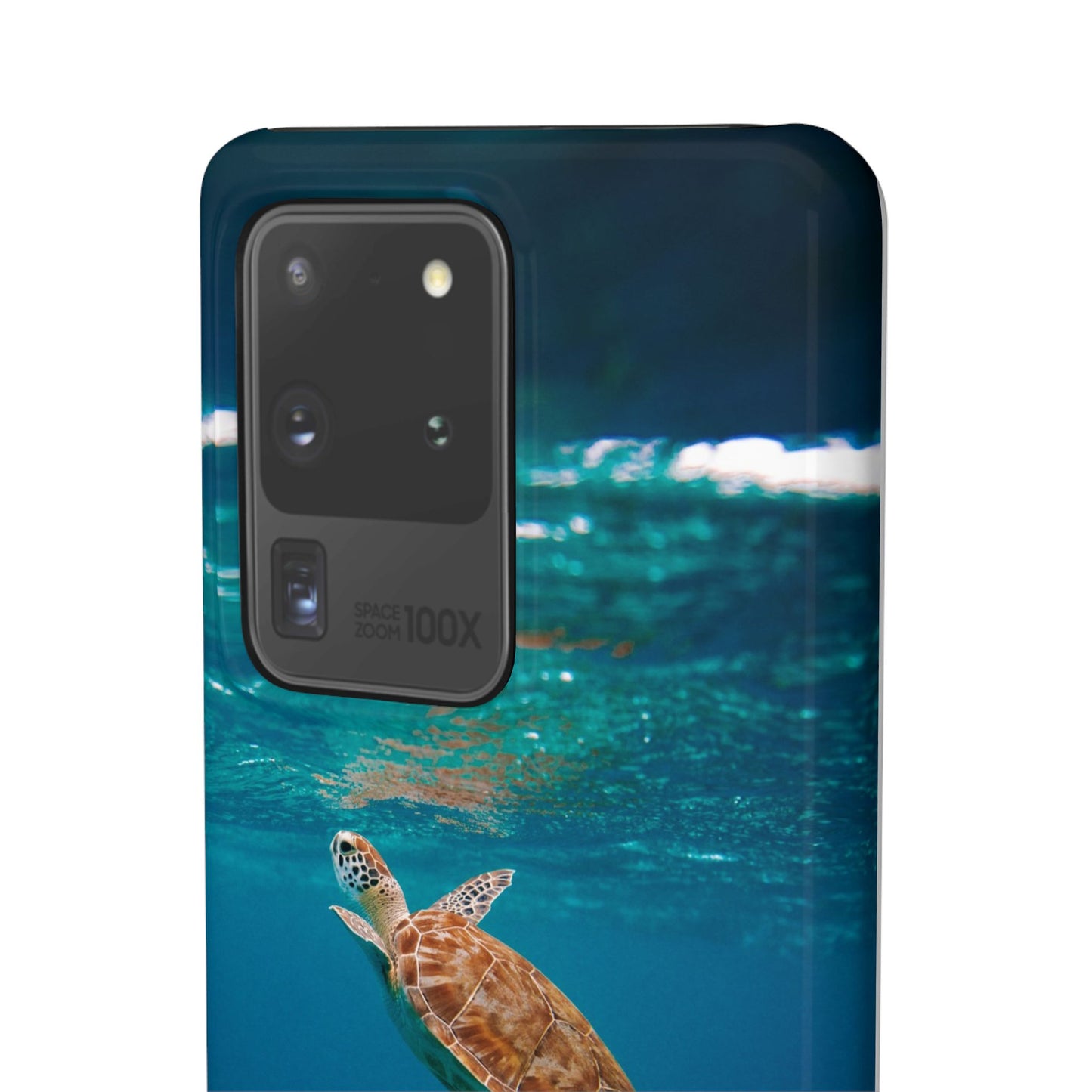 Sea Turtle Cajasol - Perfect for Beach Lovers