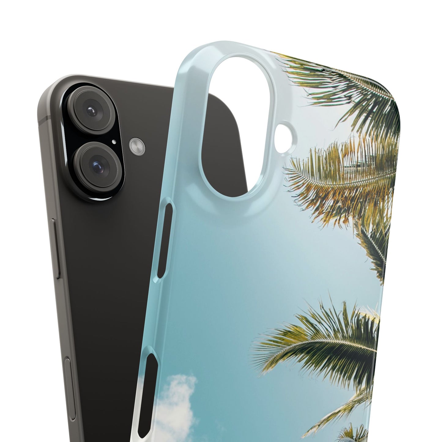 Tropical Palm Cajasol – Summer Vibes for Beach Lovers