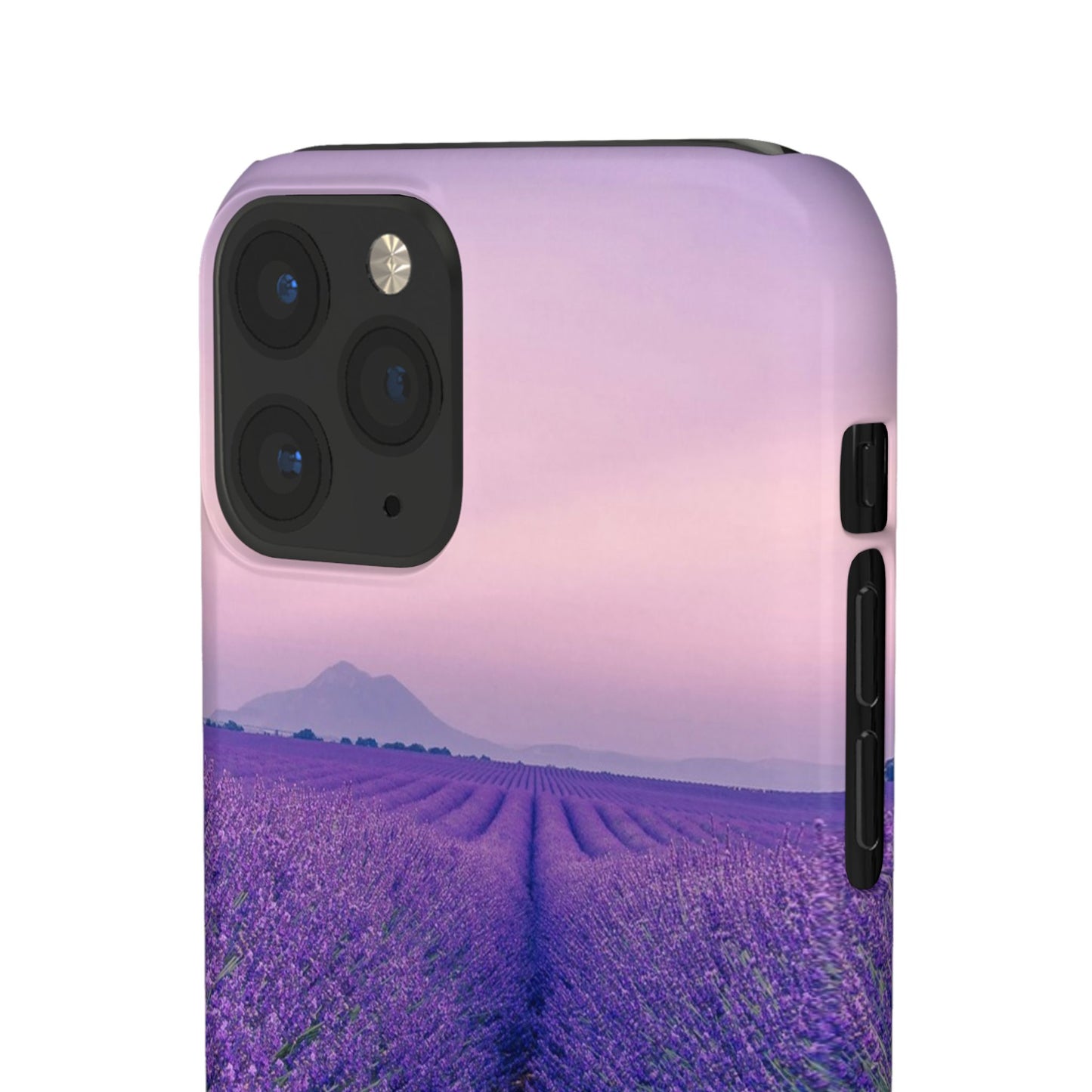 Lavender Fields Cajasol - A Floral Touch for Nature Lovers