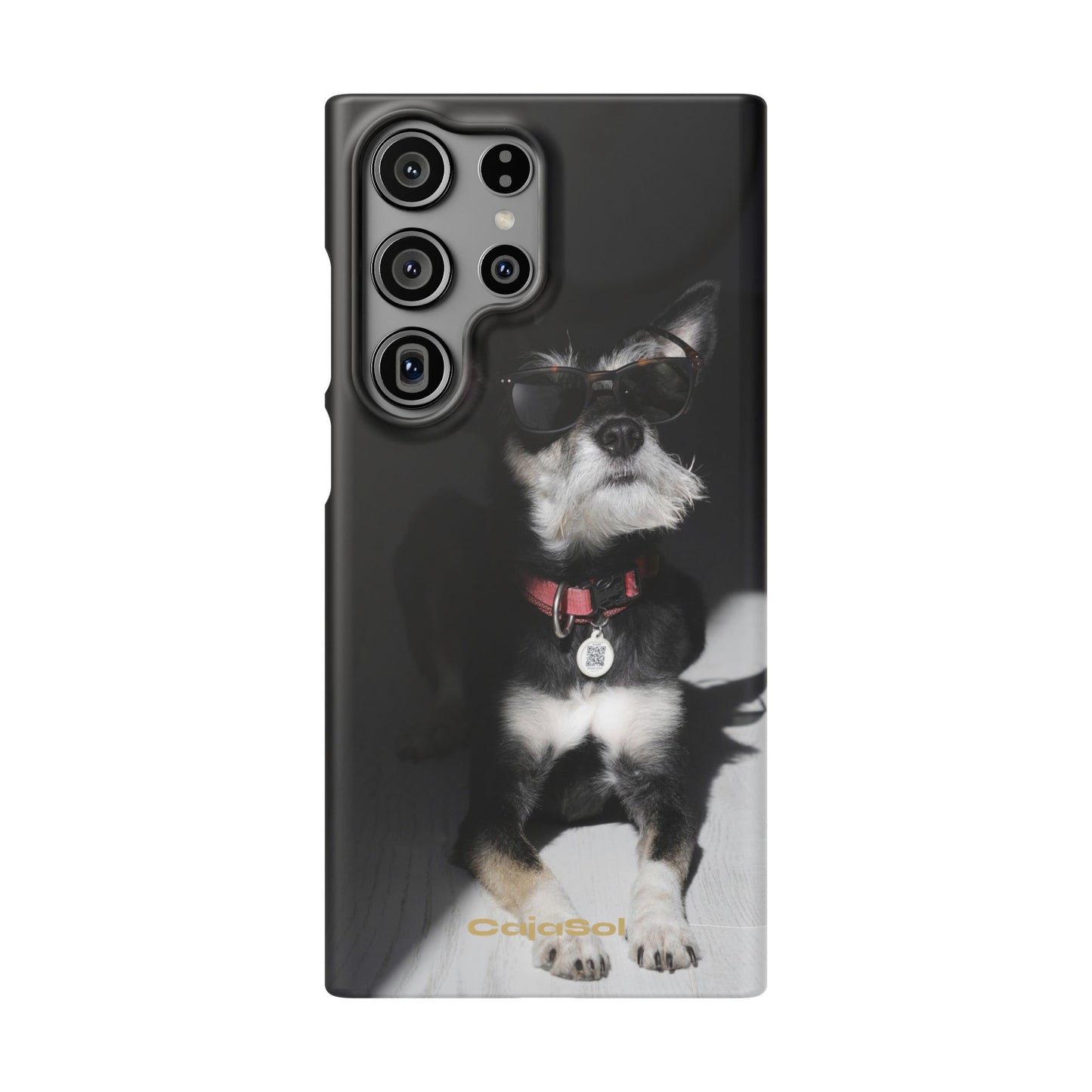 Cool Dog Cajasol - Stylish Pet