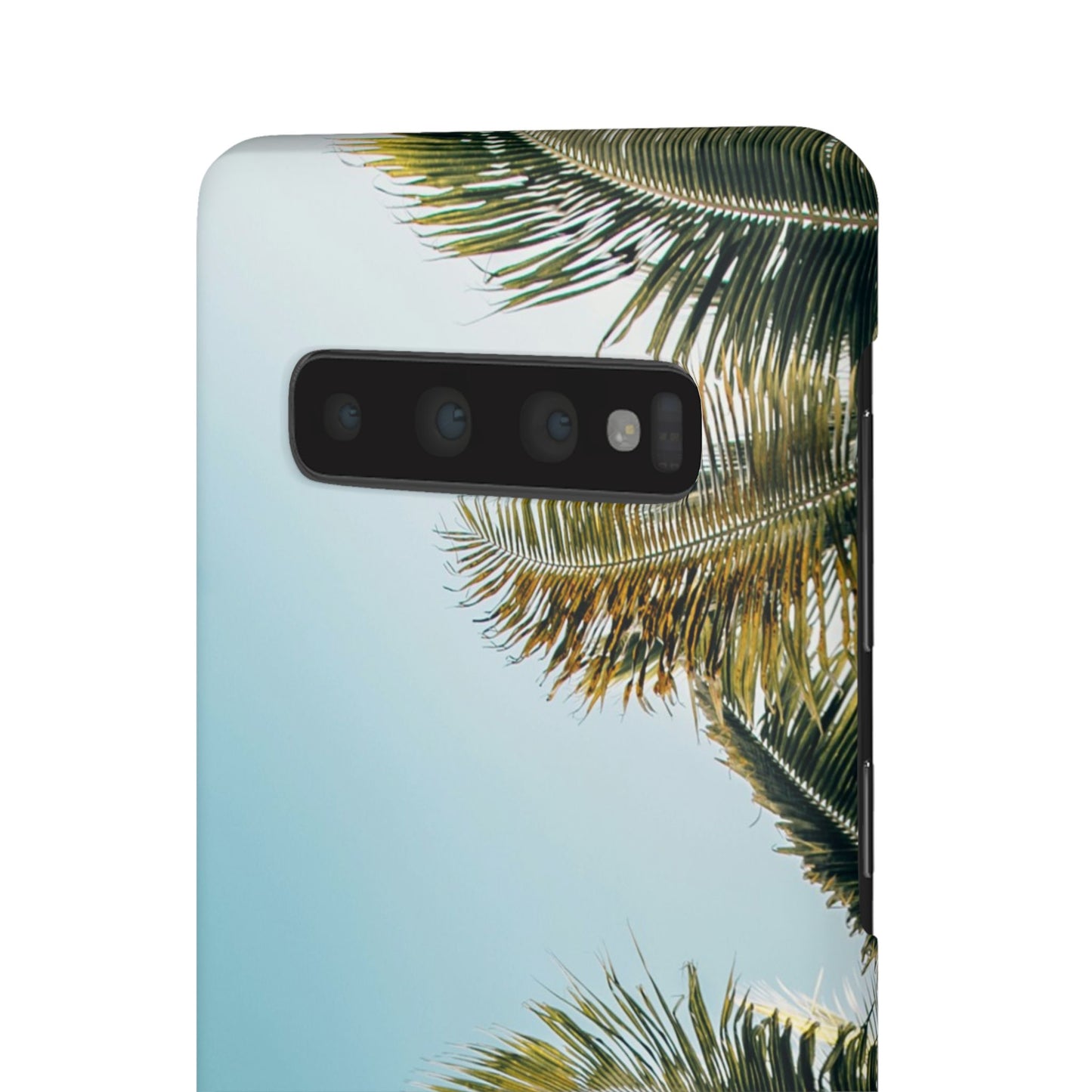 Tropical Palm Cajasol – Summer Vibes for Beach Lovers