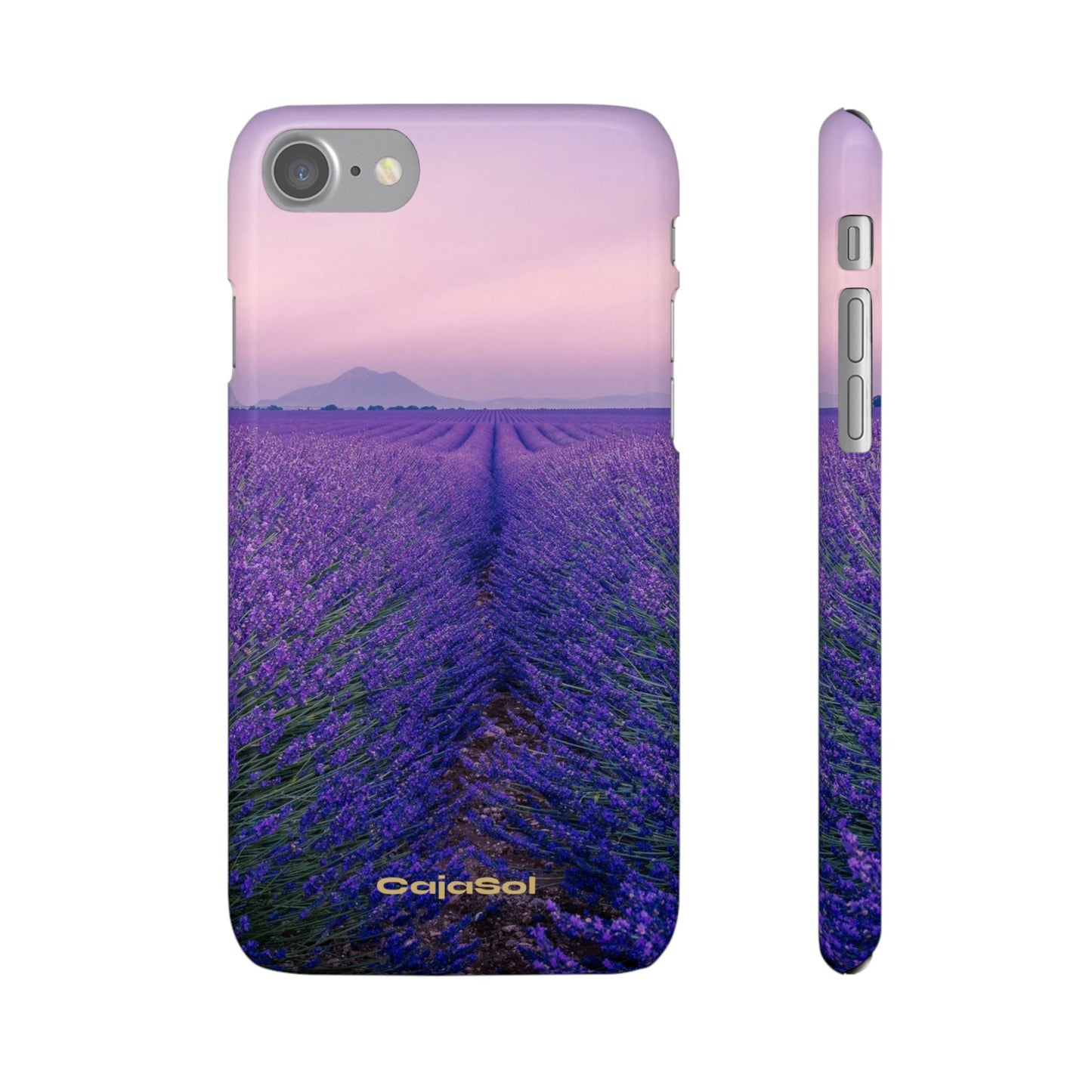 Lavender Fields Cajasol - A Floral Touch for Nature Lovers