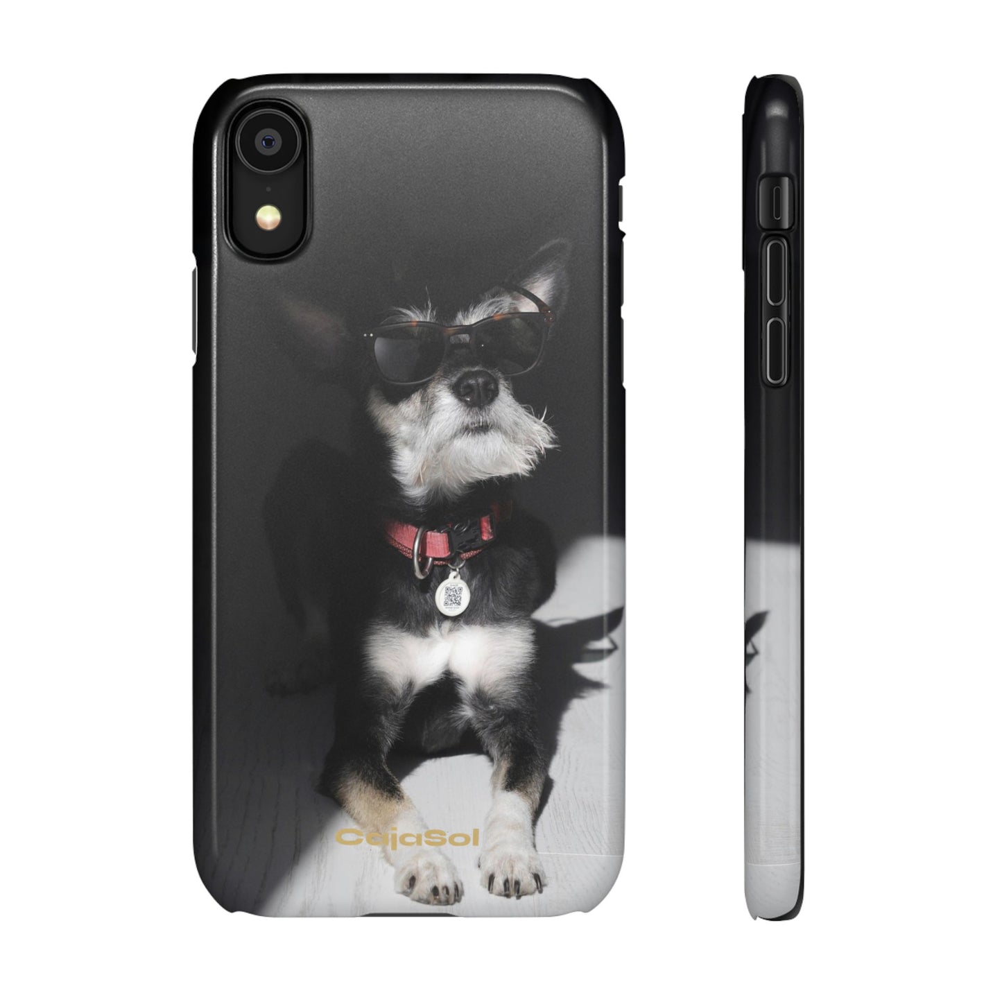 Cool Dog Cajasol - Stylish Pet